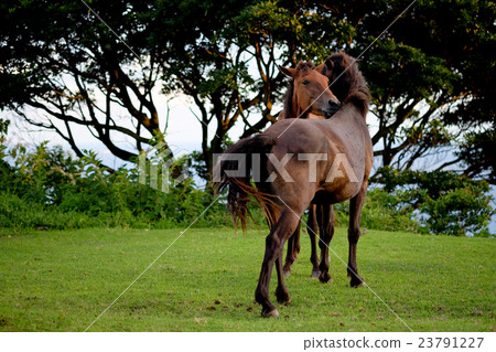 Miyazaki of Miyazaki who friends and meet each other 23791227