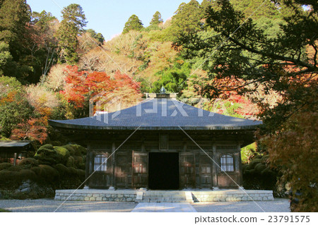 In the autumn leaves forest, a temple buddhist quietly standing 23791575