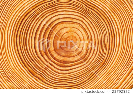 Annual ring 23792522