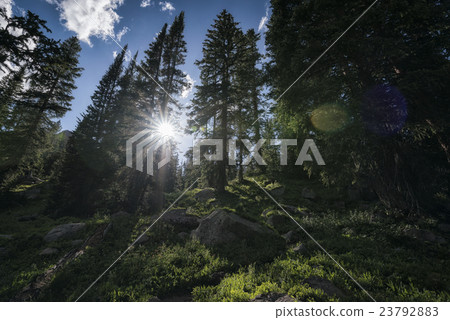 Eagles Nest Wilderness, Colorado Eagles Nest Wilderness, Colorado 23792883