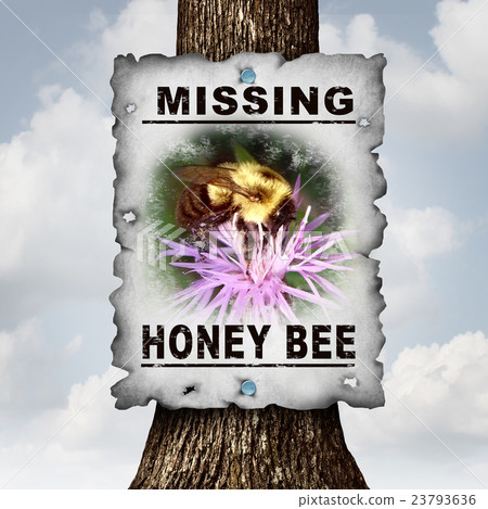 Honey Bee Missing 23793636