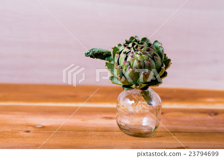 artichoke 23794699