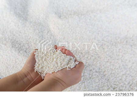 Hand of a boy holding sticky rice 23796376