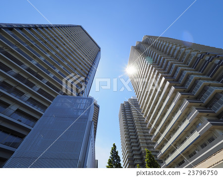 高層公寓 23796750