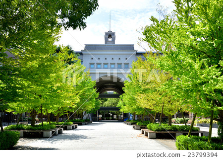 Kyoto University Yoshida Minami campus Kyoto University Yoshida Minami campus 23799394