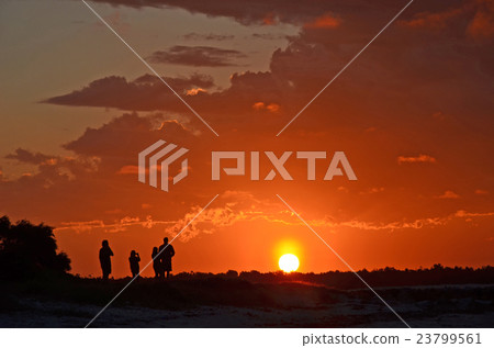 Couples watching the sunset Couples watching the sunset 23799561