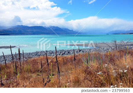 Lake Pukaki, New Zealand 23799563