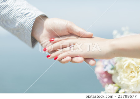 新娘和新郎的手 新娘和新郎的手 23799677