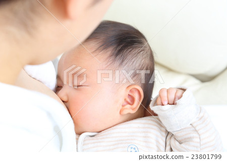 嬰兒 嬰兒 23801799