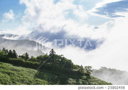 瞬間變化的雲海的形狀，由於陽光的角度，森林的陰影，美妙的阿蘇觀點的寶貴經驗，我想記住珍貴的經驗 23802456