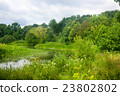 Wild summer pond 23802802