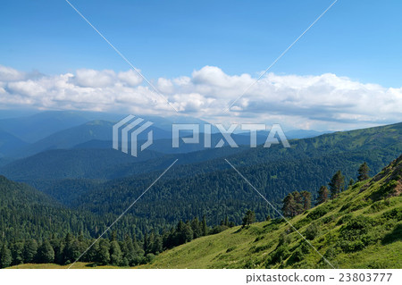 Scenic landscape with mountain forest Scenic landscape with mountain forest 23803777