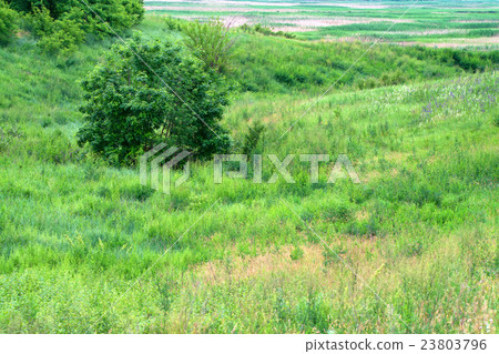 Landscape with steppe and river Landscape with steppe and river 23803796