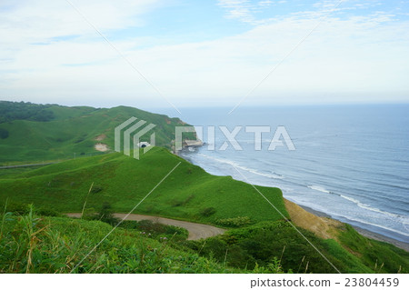 熱帶懸崖觀察站在北海道夏天 23804459