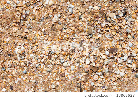 natural background - sand and shelly beach natural background - sand and shelly beach 23805628