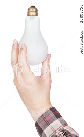 hand holds incandescent light bulb isolated hand holds incandescent light bulb isolated 23805753