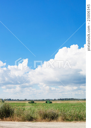 country landscape with agrarian field and blue sky 23806345