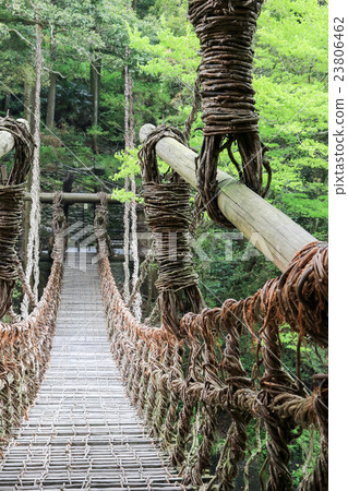位於德島縣三井市的Iya,Kazura Bridge 位於德島縣三井市的Iya,Kazura Bridge 23806462