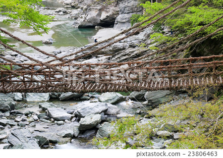 位於德島縣三井市的Iya，Kazura Bridge 23806463