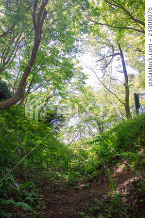春日山城堡遺址廢墟 春日山城堡遺址廢墟 23808076