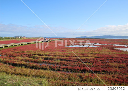 Akeshi Sou(Nogei之花) Akeshi Sou(Nogei之花) 23808932