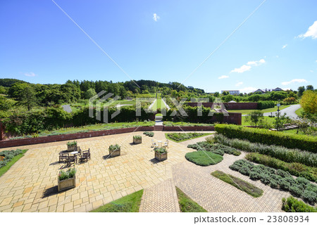 Yuni花園 Yuni花園 23808934