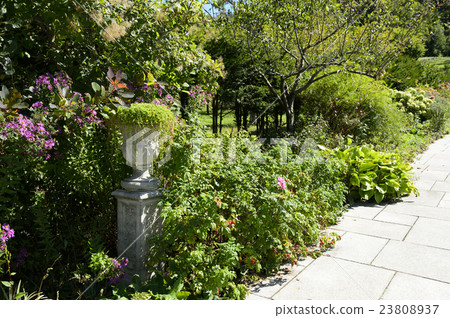 Yuni Garden 23808937