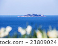 戰艦島和水仙花 23809024