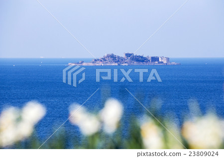 戰艦島和水仙花 戰艦島和水仙花 23809024