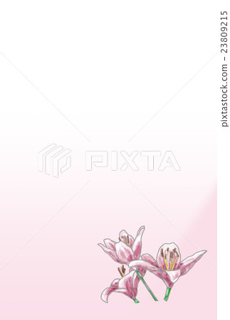 Postcard Yuri Pink Postcard Yuri Pink 23809215