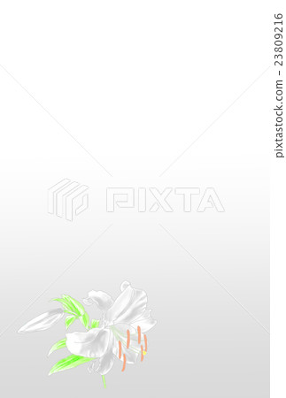 Postcard Yuri Shirayuri mourning Postcard Yuri Shirayuri mourning 23809216
