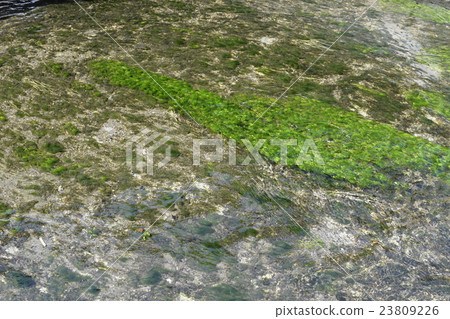 Kawabata culture land Shiga Nishie River Township 23809226