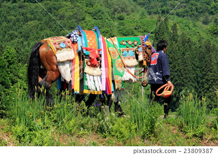 Chagchag horses 23809387
