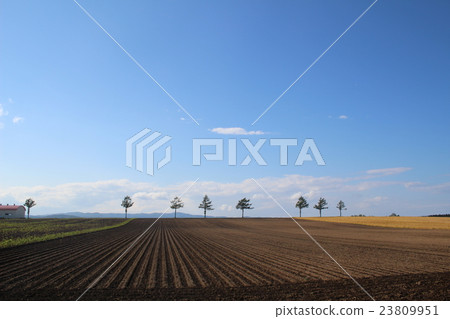 Hill winter preparation of fairy tale 23809951