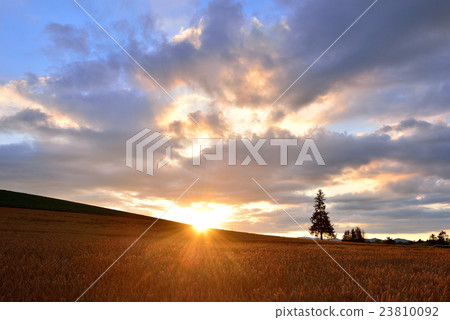 Biei no Oka 23810092