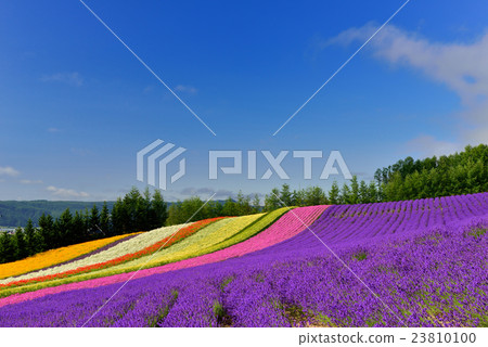 Furano Furano 23810100