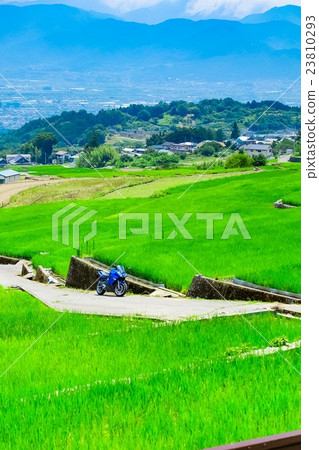 Rural landscape of early summer (144) Rural landscape of early summer (144) 23810293