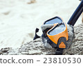 Diving Goggles wood tree on white sand  23810530