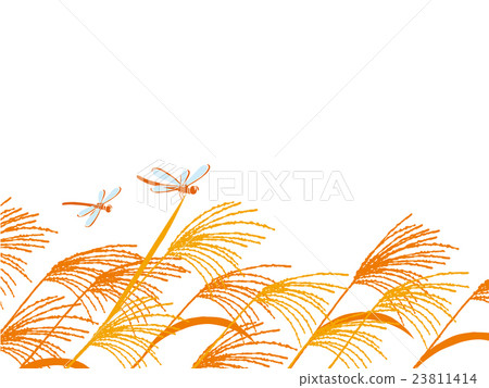 Susuki and red dragonfly 23811414