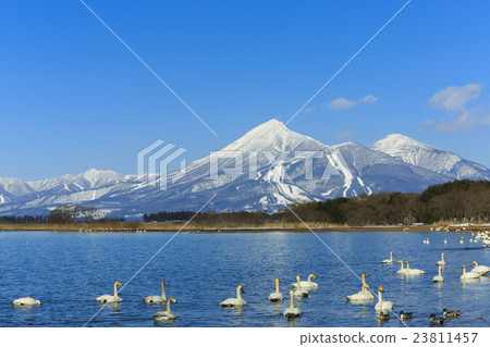 豬苗代湖和萬代山 23811457