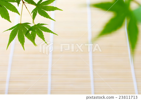 夏天背景材料 23811713