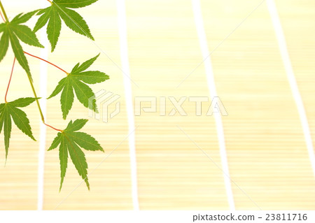 夏天背景材料 23811716