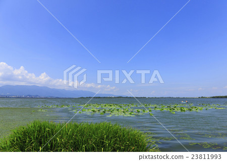 Karasumaru半島的琵琶湖 Karasumaru半島的琵琶湖 23811993