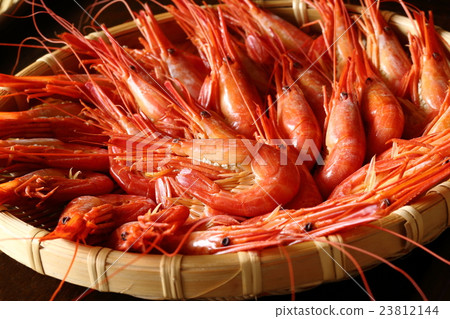 North Sea Shrimp 23812144