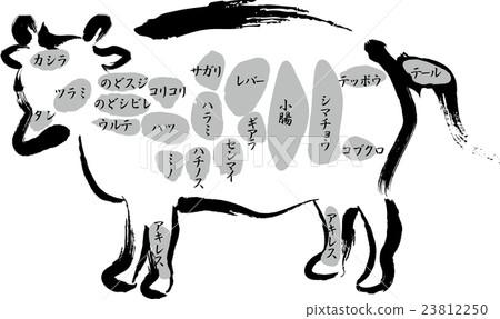 Name of beef organ site 23812250