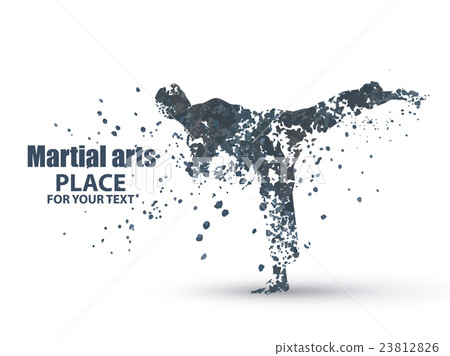 Silhouette of a karateka doing standing side kick  23812826