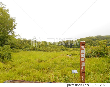 Tamahara濕地 23812925