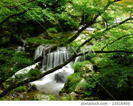 Hanazono Valley Hanazono Valley 23816408