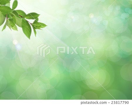 Natural background 23817790