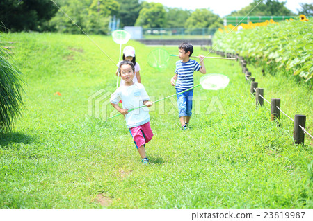Children who inspect insects Children who inspect insects 23819987